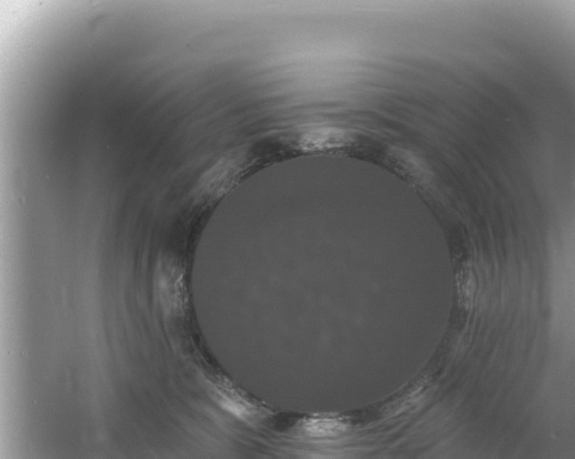 X0000060790327200511141450