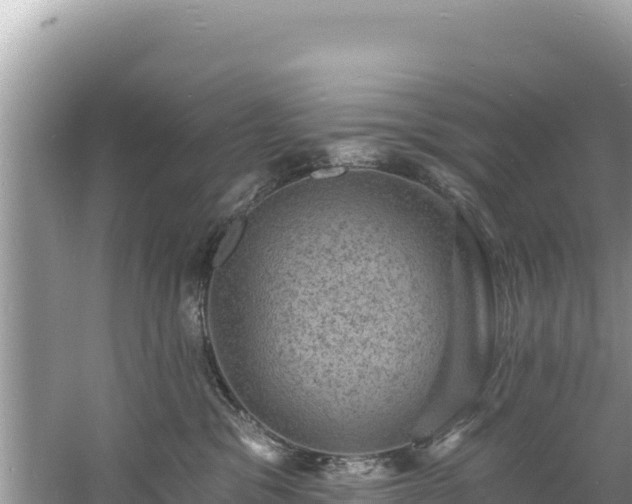 X0000060790329200511141450