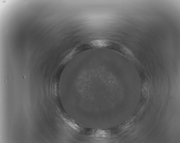 X0000060790330200511141450