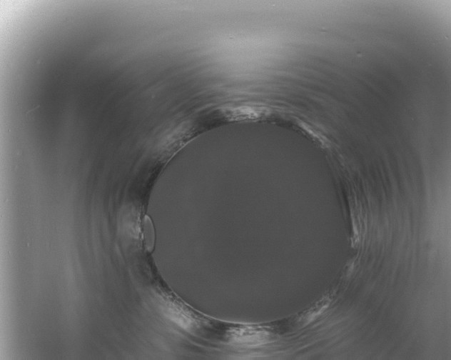 X0000060790331200511141450