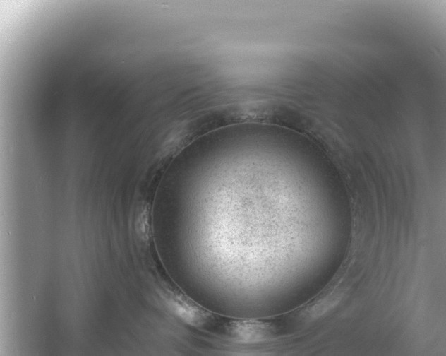 X0000060790336200511141450