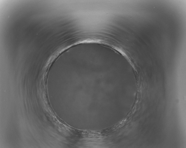 X0000060790337200511141449