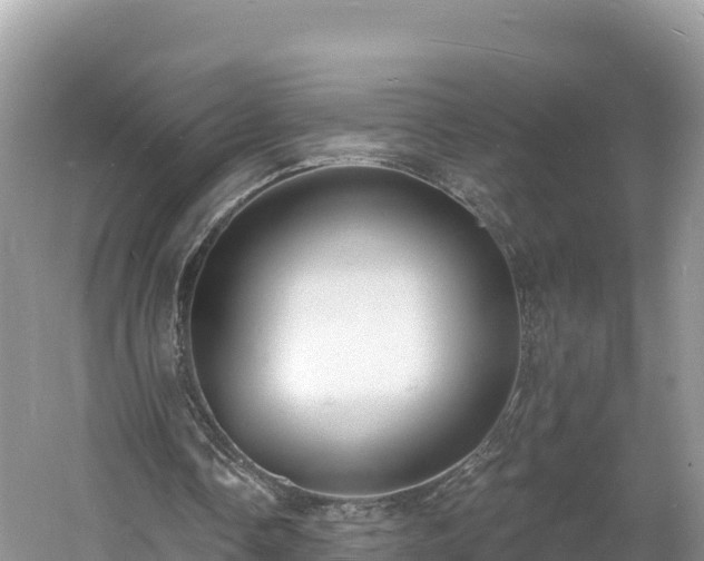 X0000060790338200511141449