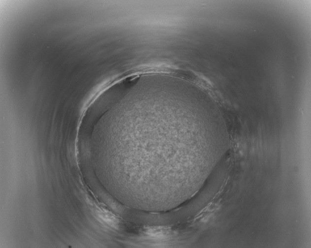 X0000060790340200511141449