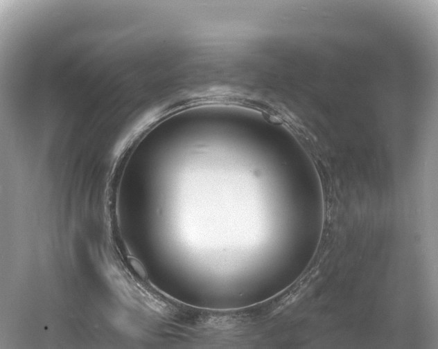 X0000060790341200511141449