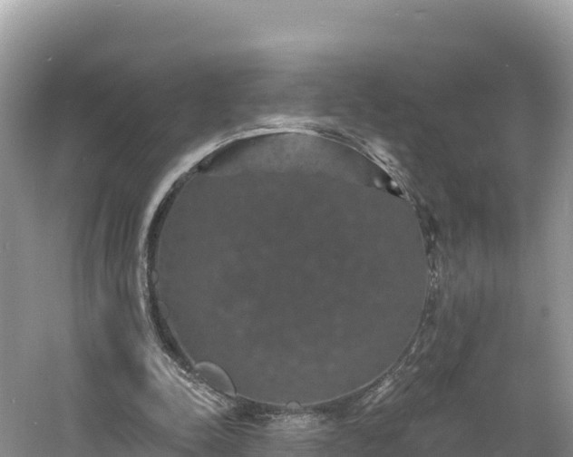 X0000060790342200511141449