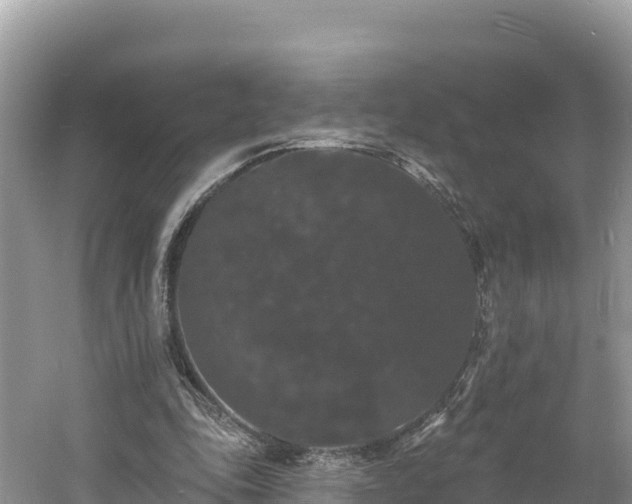 X0000060790343200511141449