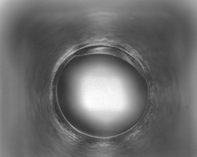 X0000060790344200511141449