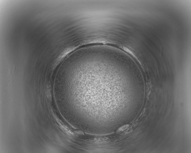 X0000060790345200511141449