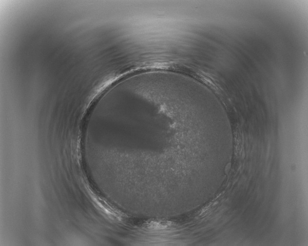 X0000060790346200511141449