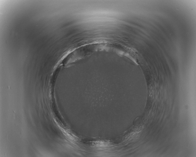 X0000060790347200511141449