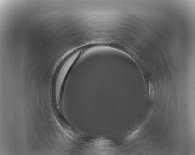 X0000060790348200511141449