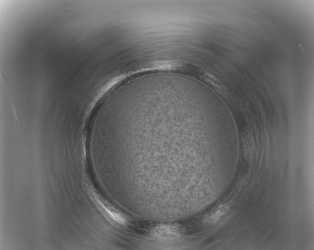 X0000060790350200511141449