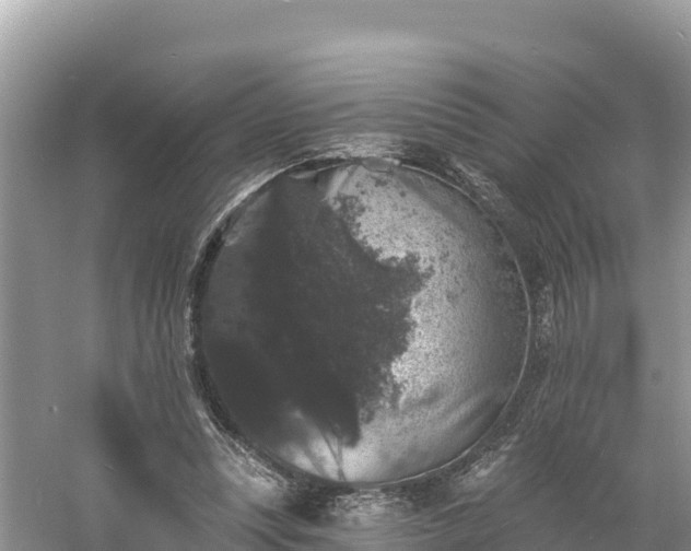 X0000060790351200511141449