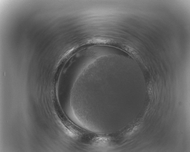 X0000060790352200511141450