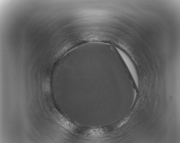 X0000060790353200511141450