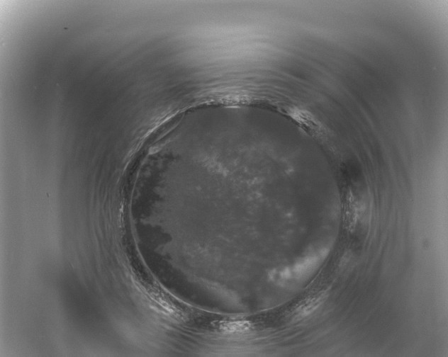 X0000060790355200511141450