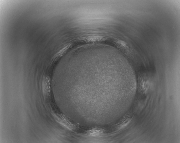 X0000060790356200511141450