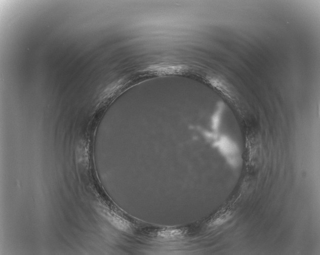 X0000060790357200511141450