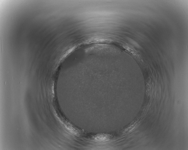 X0000060790358200511141450