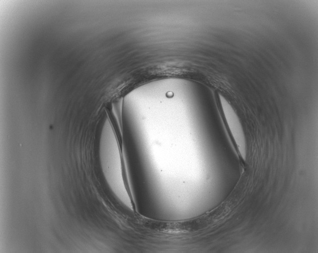 X0000060790360200511141450