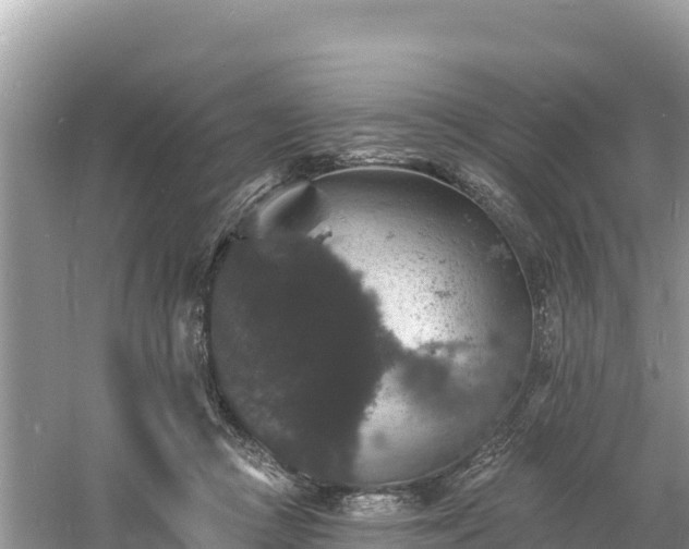 X0000060790361200511141450