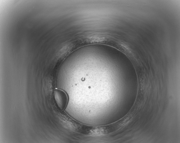 X0000060790362200511141450