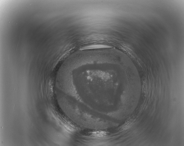 X0000060790363200511141450