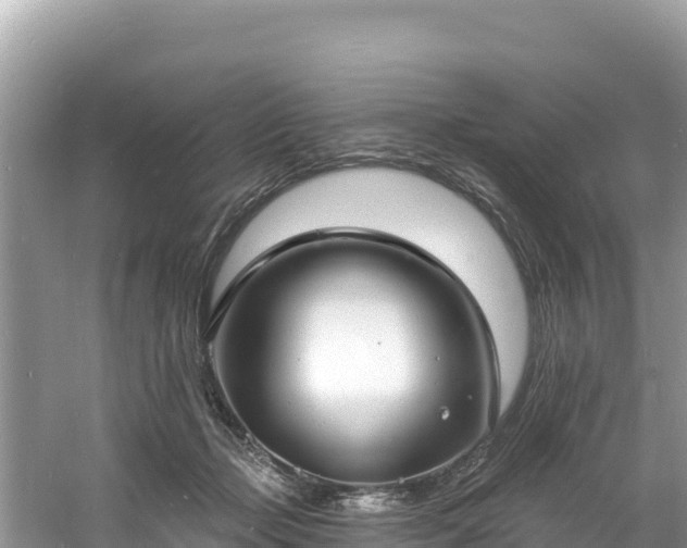 X0000060790365200511141450