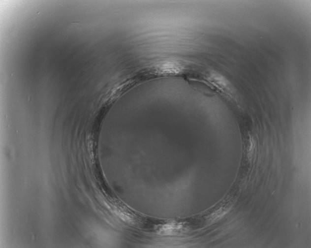 X0000060790366200511141450