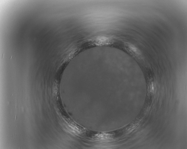 X0000060790367200511141450