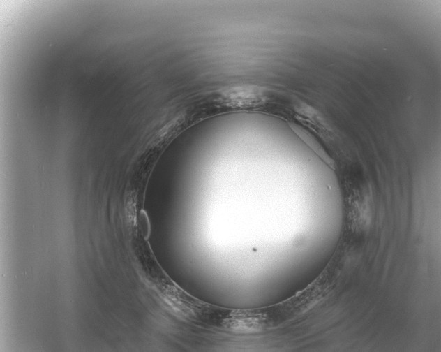 X0000060790368200511141450