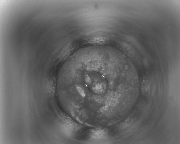 X0000060790370200511141450