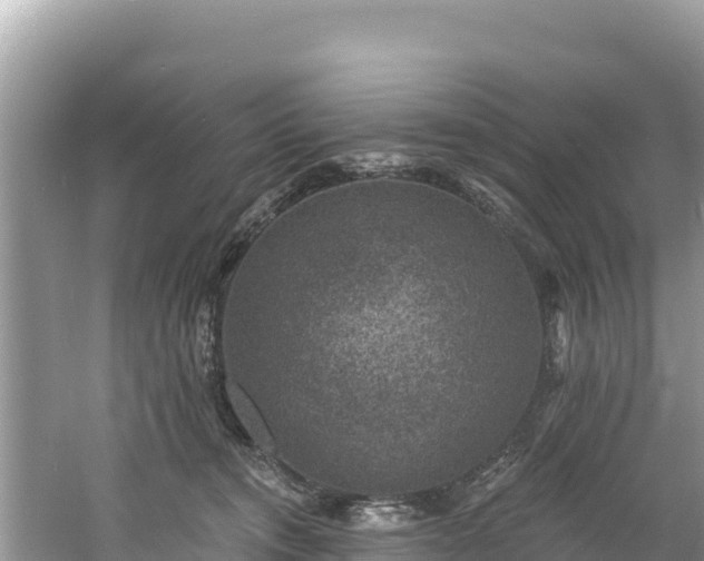 X0000060790372200511141450