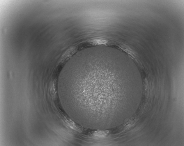 X0000060790373200511141450