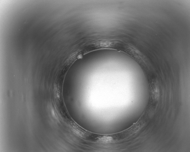 X0000060790374200511141450