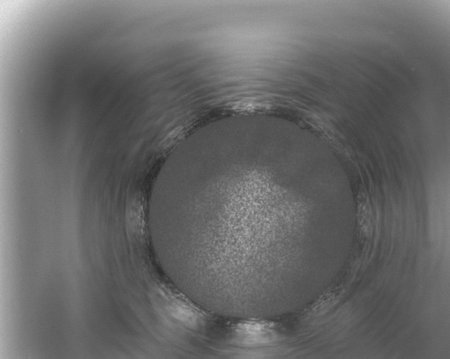 X0000060790375200511141450