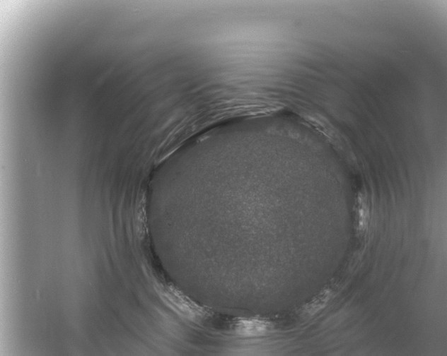 X0000060790376200511141450