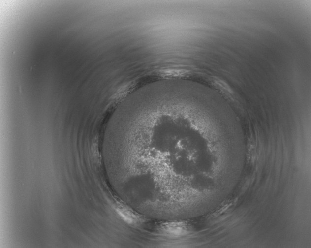 X0000060790377200511141450