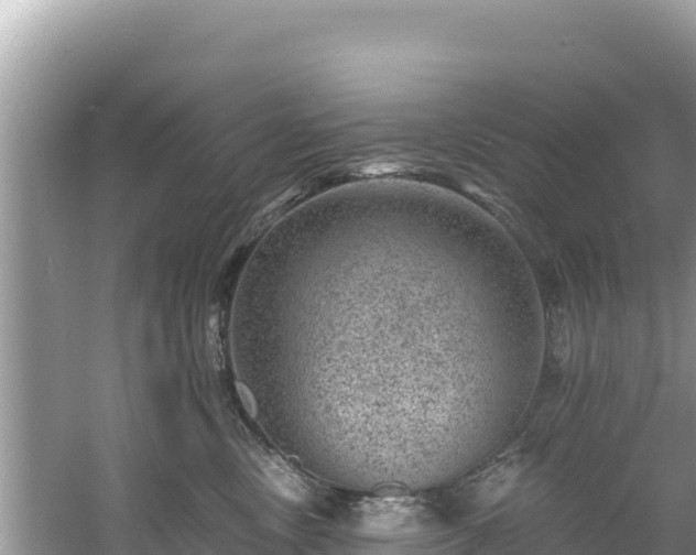 X0000060790378200511141450