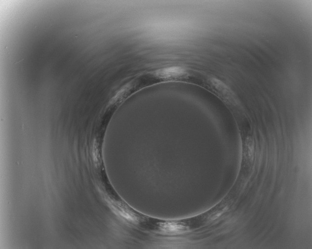 X0000060790380200511141450