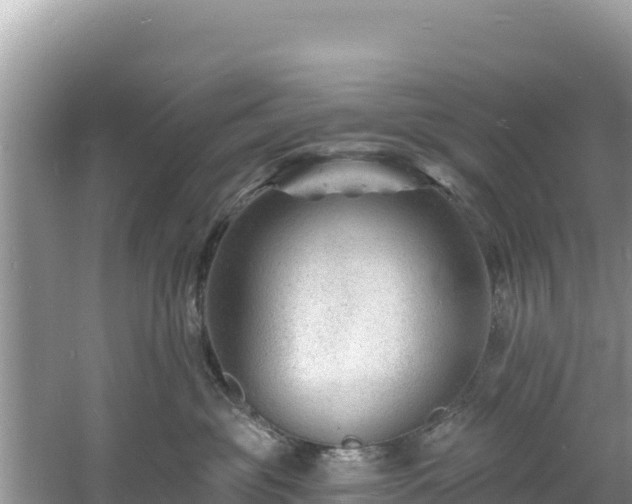 X0000060790381200511141450