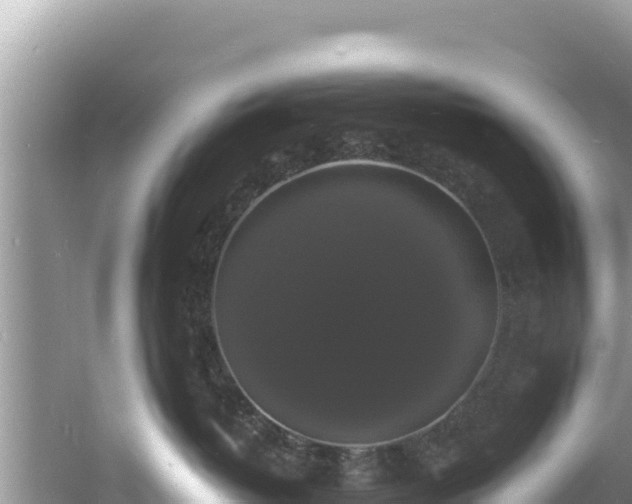 X0000060790382200511141450