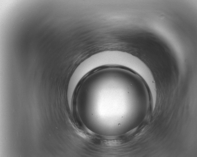 X0000060790383200511141450