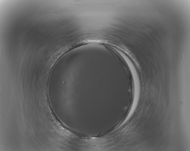 X0000060790385200511141449