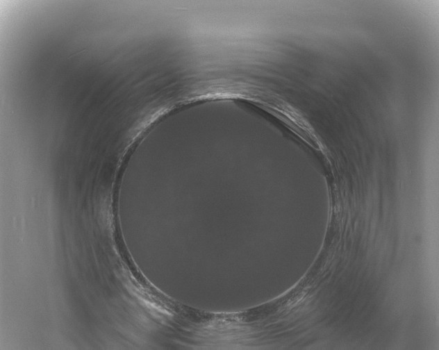 X0000060790386200511141449