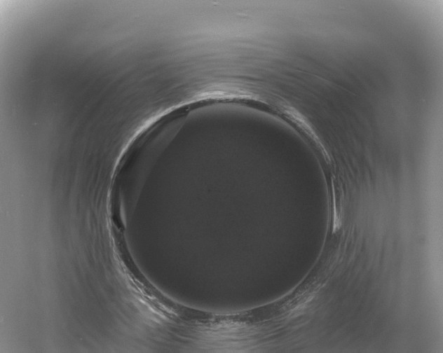 X0000060790387200511141449