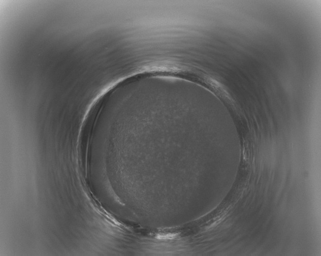 X0000060790388200511141449