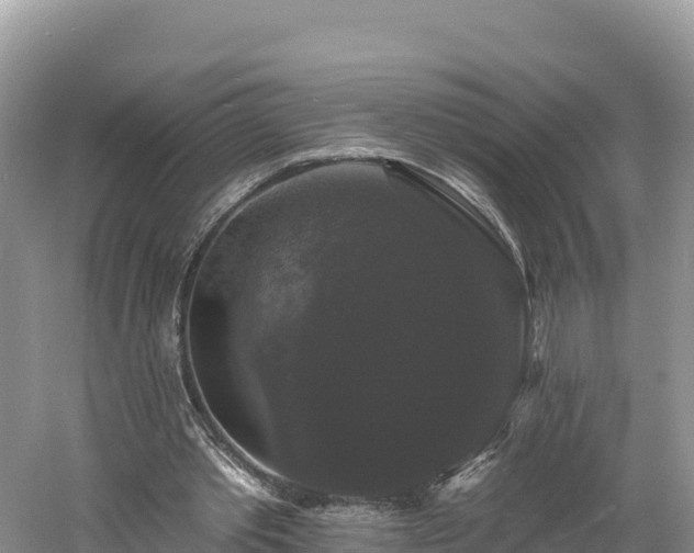 X0000060790389200511141449