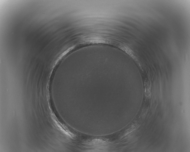 X0000060790390200511141449